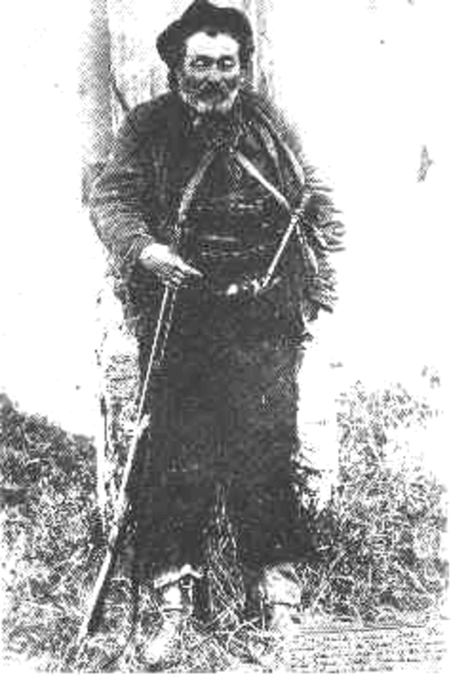 Domenico Tiburzi