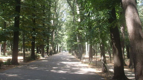 Sendero en Parco delle Cascine