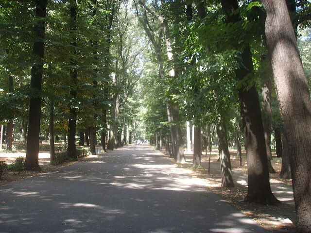 Sendero en Parco delle Cascine