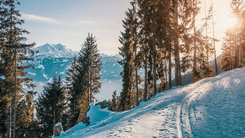 Pistas nevadas