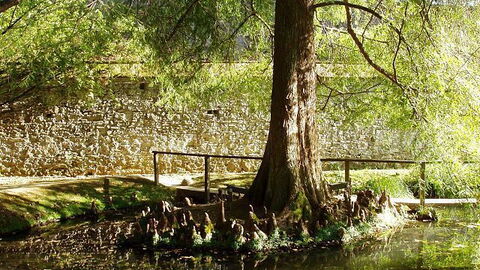 Lago donde el demonio pasó con Lucida Mansi