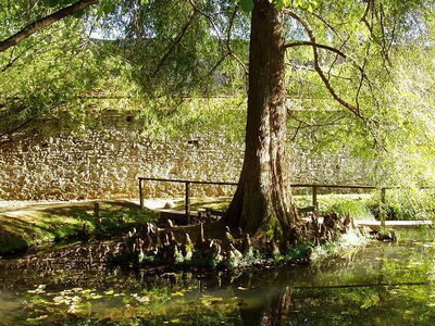 Lago donde el demonio pasó con Lucida Mansi