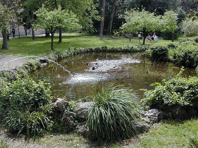 Agua en el Jardín Botánico de Pisa