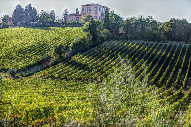 Paisaje alrededor de Volterra