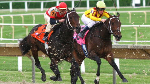 carreras de caballo en la Toscana