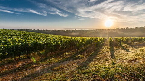 Paisaje de la Toscana