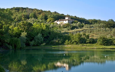 Ricavoli, vista al lago