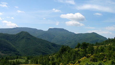 Bosque del valle de Casentino