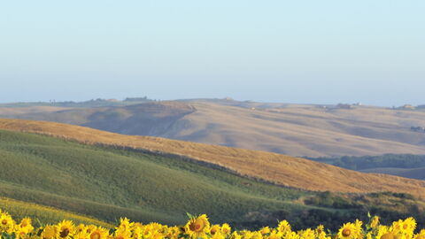 Vuelo romántico en globo