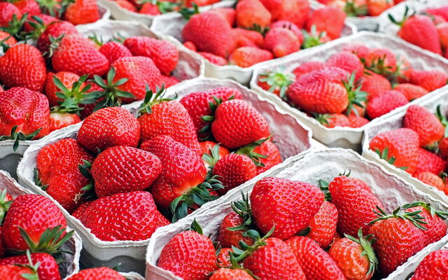 Fresas