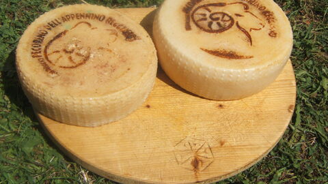 Quesos pecorino