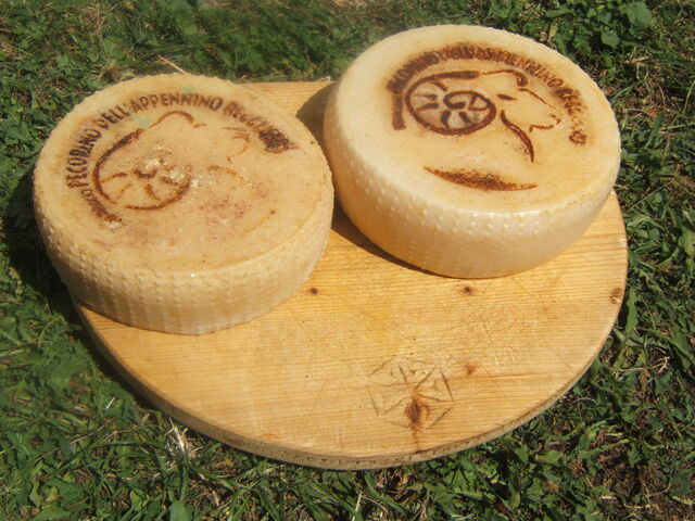 Quesos pecorino