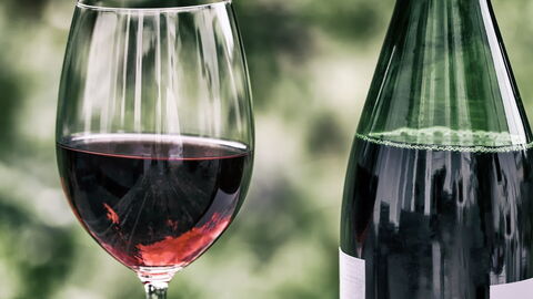 Vino