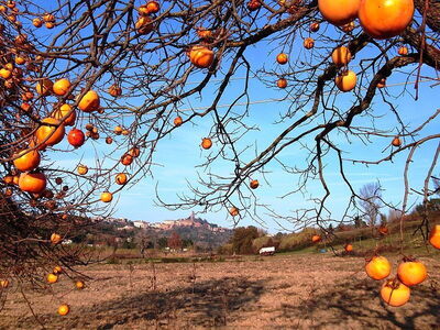Otoño en San Miniato
