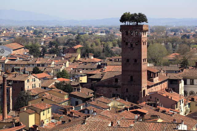 Vista de Torre Guinigi