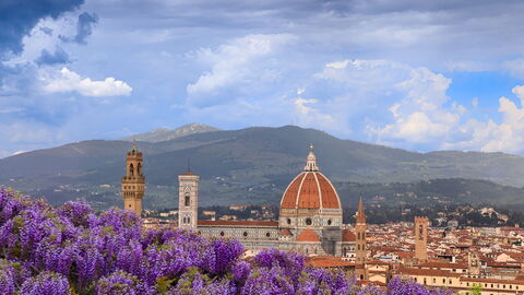 Vista desde los Jardines Bardini