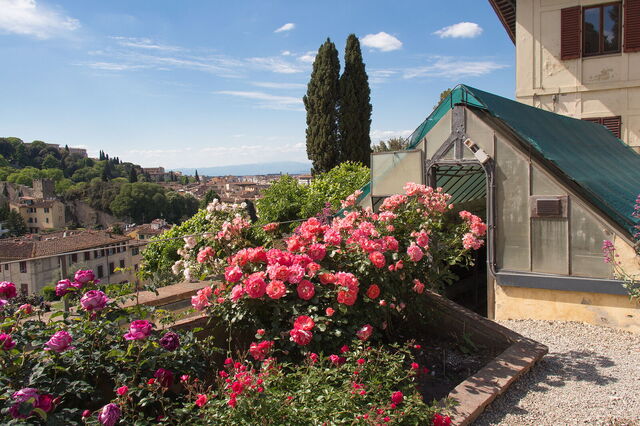 Rosas en Florencia