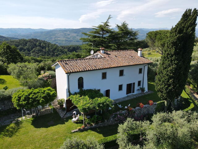 Villa Mami, exterior