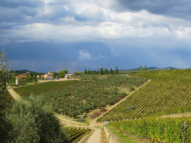 Paisaje de Chianti