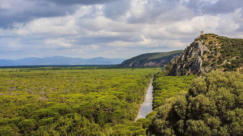 Parque Regional de la Maremma