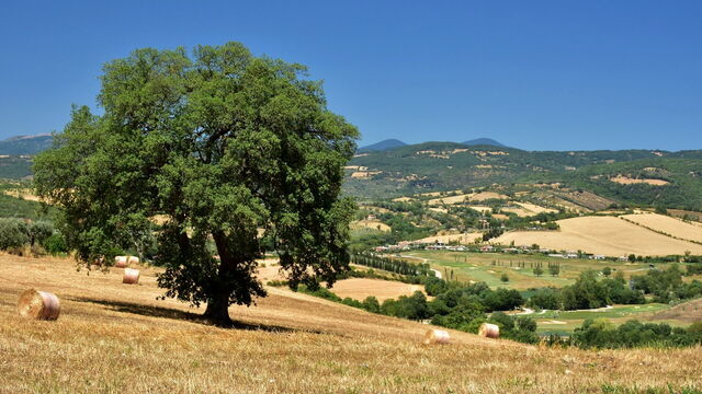 Campos en el Parque Regional de la Maremma