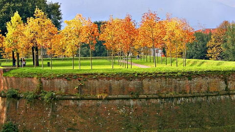 La ciudad de Luca muro  jardines