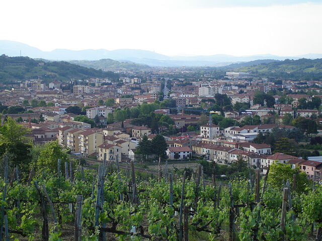ciudad de montevarchi