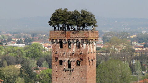 Jardín de Torre Guinigi, Lucca