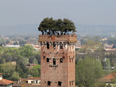 Jardín de Torre Guinigi, Lucca