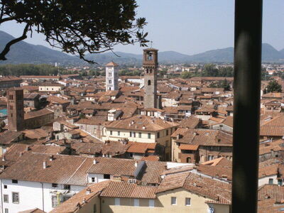 Vista desde la Torre Guinigi, Lucca