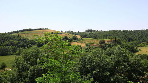 Paisaje de Poggibons