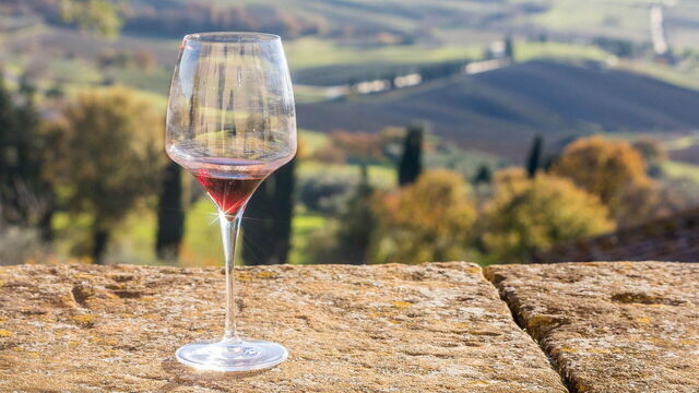 Vino en la Toscana
