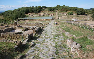 Vista del sitio arqueológico de Roselle