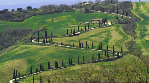 La Foce