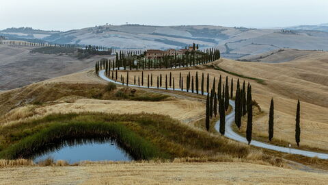 Carreteras bordeadas de cipreses en la Toscana