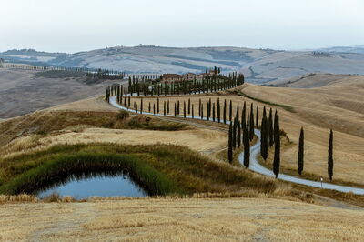 Carreteras bordeadas de cipreses en la Toscana