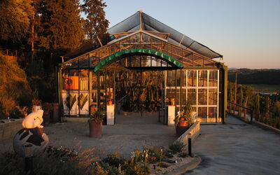 Il Giardino Sotto Vico