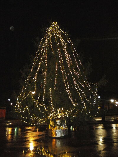 árbol iluminado de navidad en la toscana