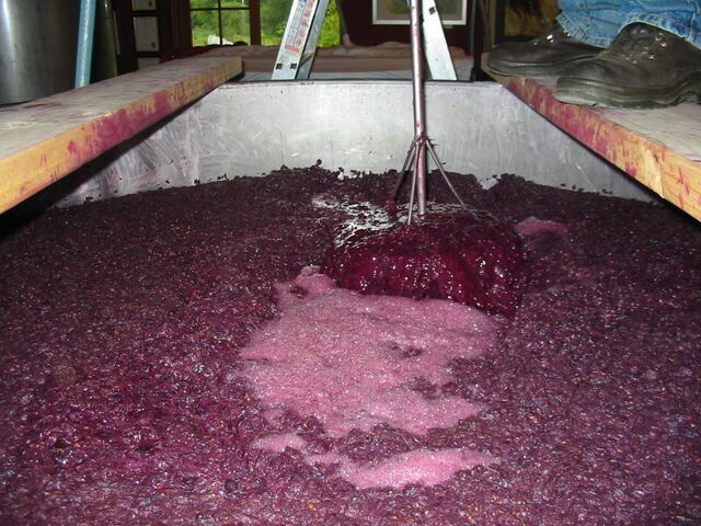 Vino fermentando