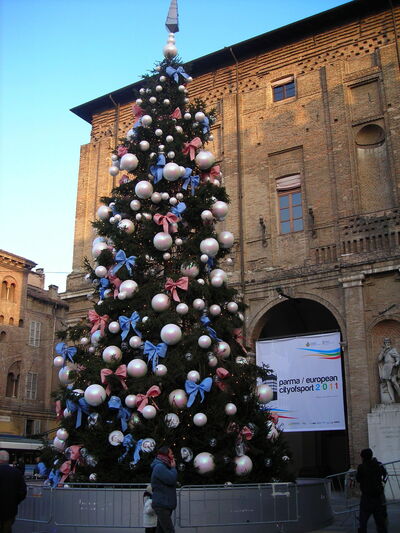 Arbol de navidad en la plaza principal de algun pueblo en Italia