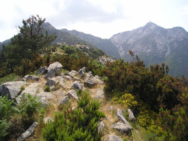 vista del monte capanne