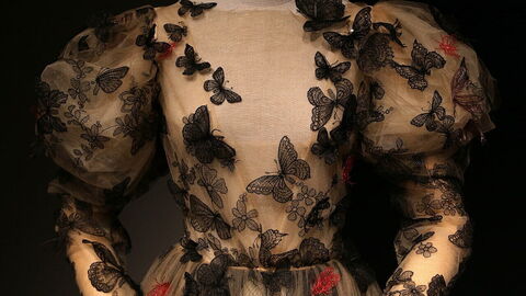 Vestido Schiaparelli, Galería de trajes