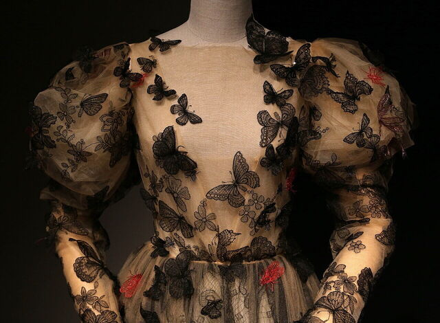 Vestido Schiaparelli, Galería de trajes