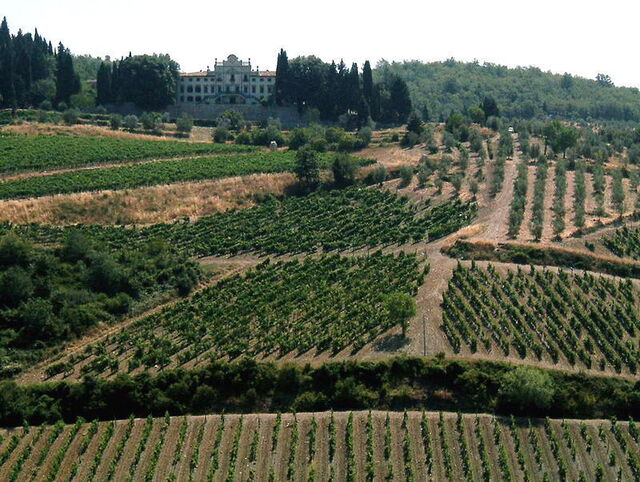 Viñedos en Chianti
