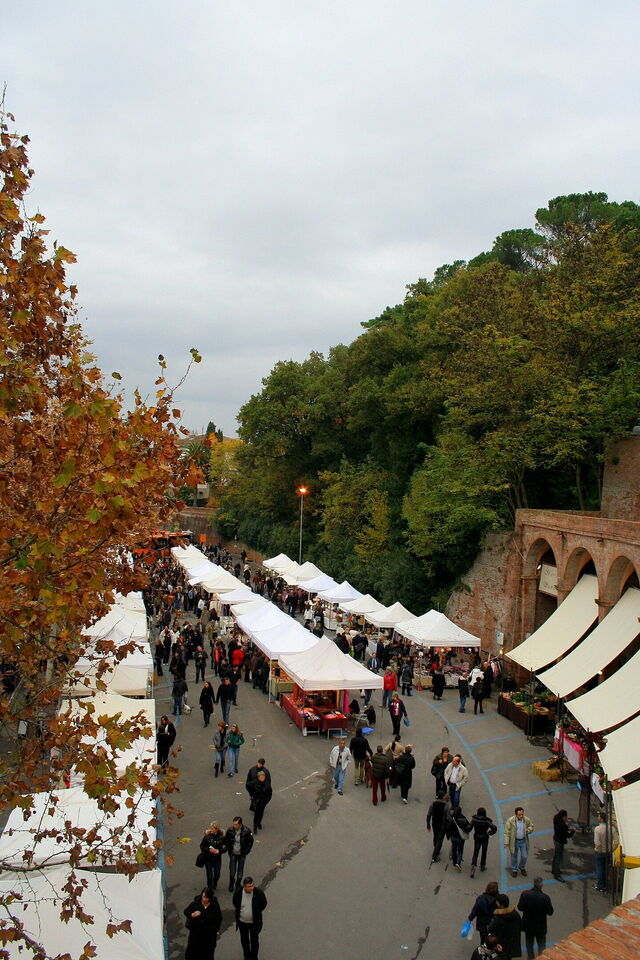 Feria de la Trufa, San Miniato