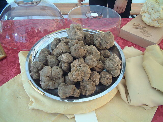 Cuenco de trufas blancas