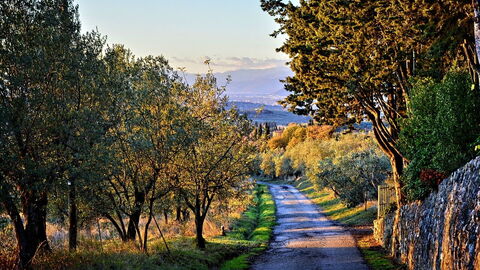Carreteras de Chianti
