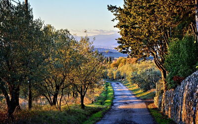 Carreteras de Chianti