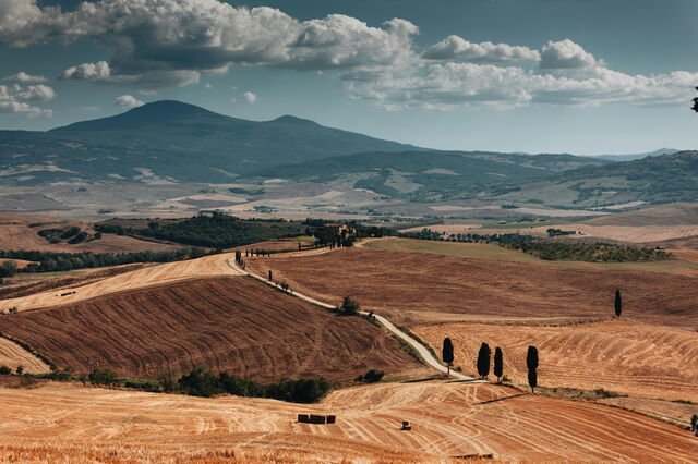 Val d'Orcia, campos