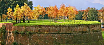 muros de Lucca en otoño